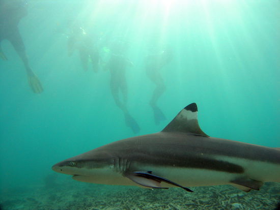 ...dann respektvoll unter uns...