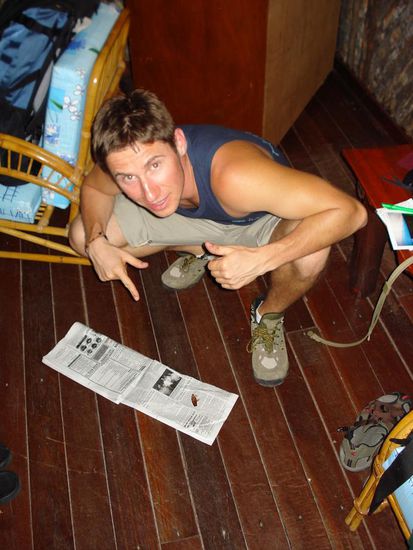 Sieg durch K.O. - sieht zwar klein aus, ist aber verdannt wendig und sticht wie eine Biene