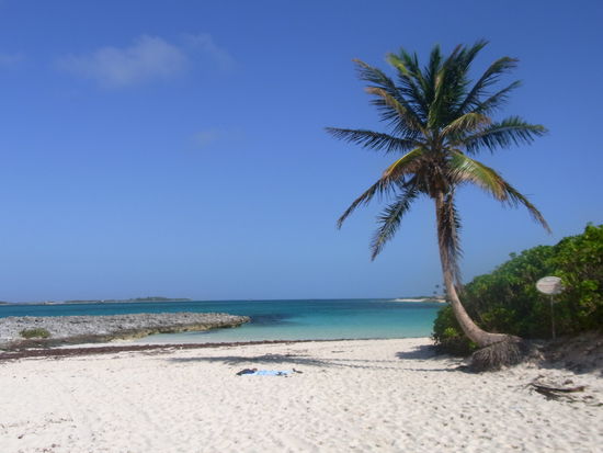 weil es so schoen ist 