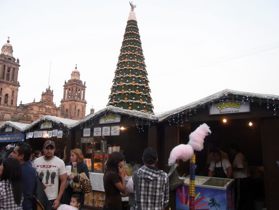 Weihnachtsbuden (leider gab es keinen Gluehwein) und Weihnachtsbaum