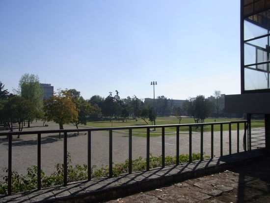 Blick ueber den Campus (eine Oase, da es sehr ruhig war)