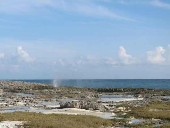 die Blowholes an der Westkueste