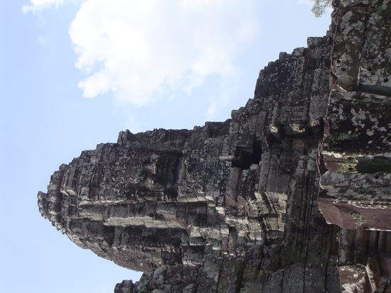 Oh man auch ein schoener, aber der Namen...
Leider bin ich ein verdammt schlechter Fotograf