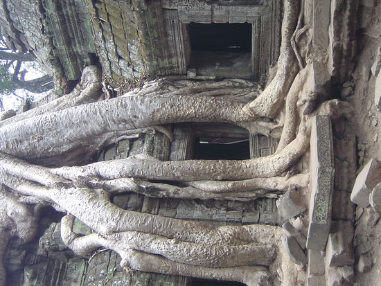 Ok den kenn ich, das ist der Tomb Raider Tempel,hehe