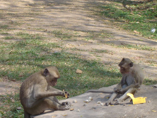 Die waren der Wahnsinn. Aber keine Angst Schatz, hab Sie da gelassen