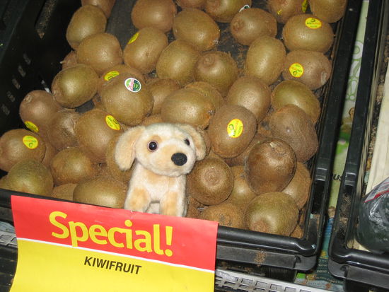 Das ist Little Murphy - und Kiwis