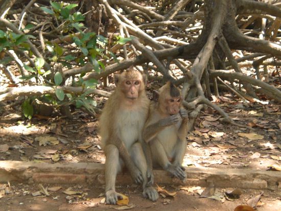 Manu & Long sagen Tschuess zu Vietnam!