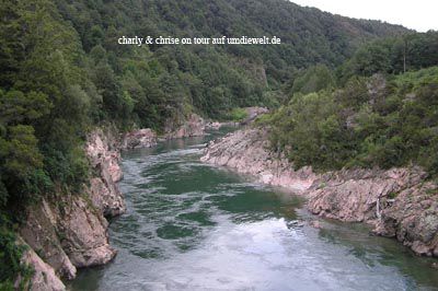 Der Fluss bei den Araki Falls.