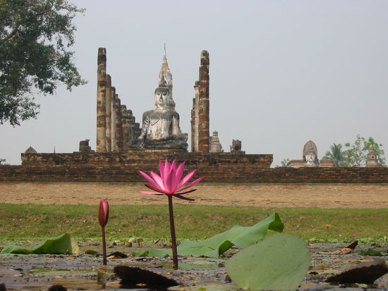 die ruinen in sukhothai