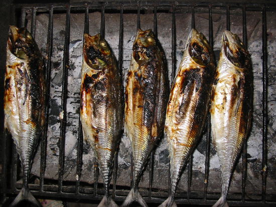 die besagten makrelen. super lecker