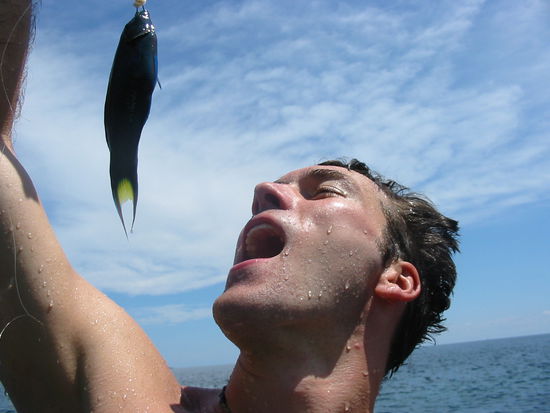 den richtigen fang gabs dann lecker gegrillt am abend. insgesamt waren es neun fische (snapper und grouper)