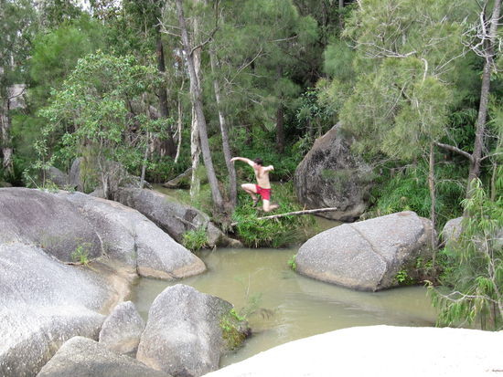 ein komisches Kaenguru