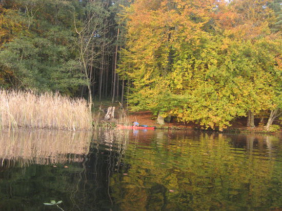 Wieder pünklich um 9h sitzen wir wieder in unseren Kajaks.