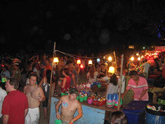 abfeiernde Party-Crowd