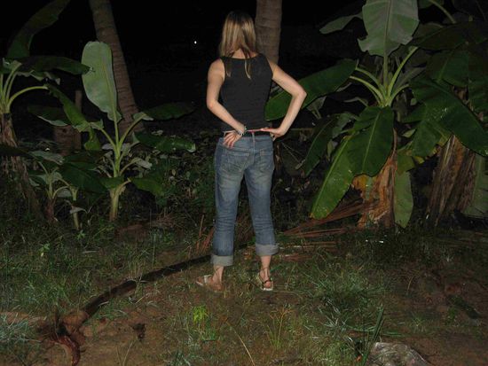 wo gehts wohl heim?
gar nicht so leicht bei so viel Palmenwald!