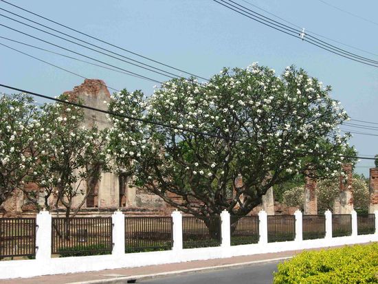 auch Lopburi hat einige alte Tempelruinen zu bieten