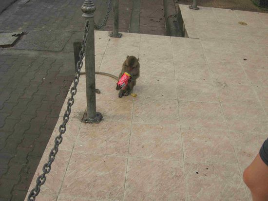 na super, die gestohlene Coladose ist ja schon so gut wie leer!