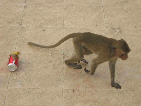 ...den Schmarrn könnt ihr Euch behalten!