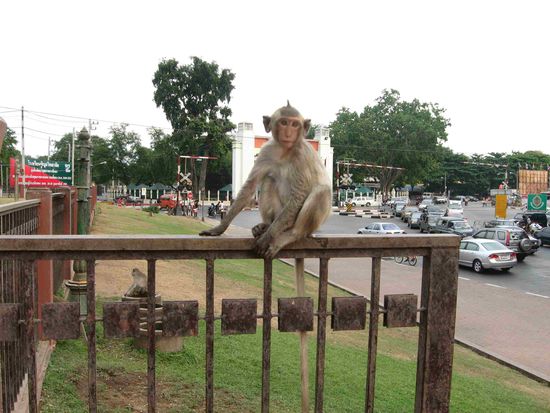 coole Irokesenfrisur (ein Teletubbi?)