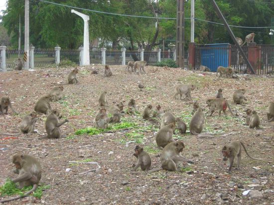 eine weitere Futterstelle