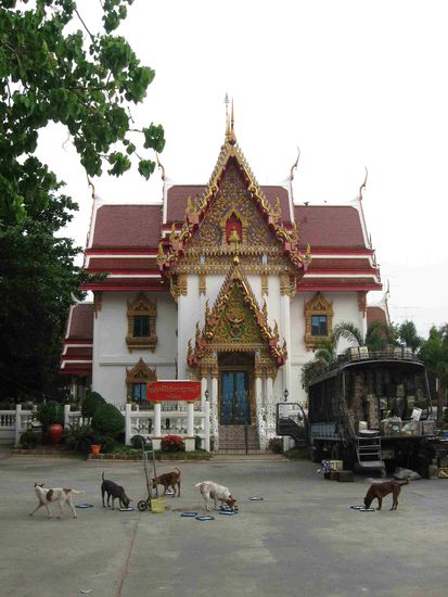 Hundefütterung vor einem leider schon zugesperrten Tempel