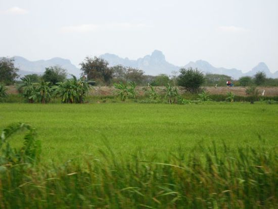 auch Thailand hat ein paar Berge, die wir aber leider nicht wie üblich erklommen haben