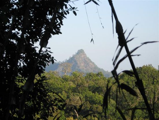 Dschungelblick auf gegenueberliegenden Berg