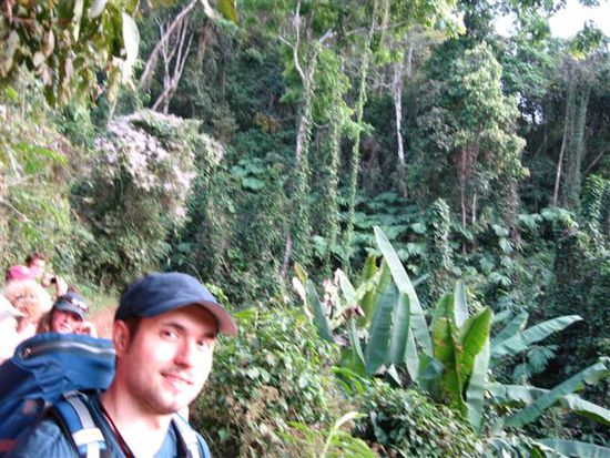 Welcome to the Jungle