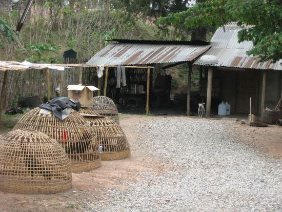 laotische Huehnerhaltung