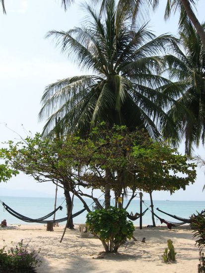 ... und mit gemütlichen Hängematten