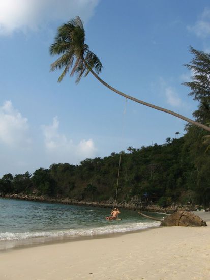 Christian beim Schaukeln am Coconut-Beach (die Palme war vorher schon so gebogen 