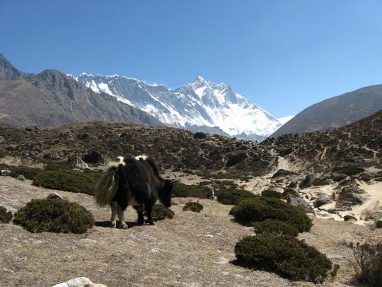 ... und Lhotse, bevor es nach Phortse geht