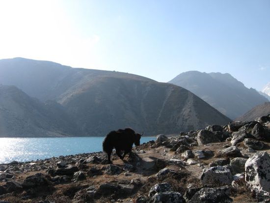 der zweite Gokyo-See