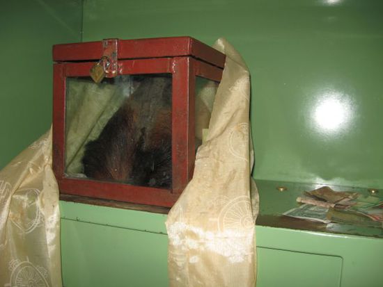 der ominoese, in einem Tresor aufbewahrte Yeti-Skalp in der Gompa (Tempel) von Khumjung