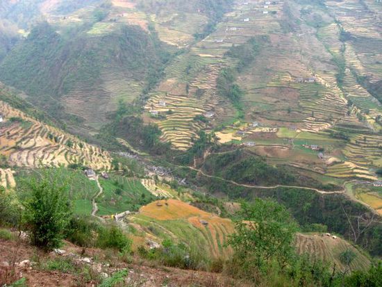 die terrassenartige Landbewirtschaftung ist in Nepal weit verbreitet (Kari Khola)