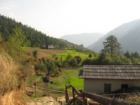 das sieht doch sehr aehnlich aus wie in Oesterreich, oder?