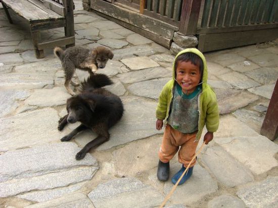 sweet kid & dogs