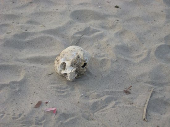 auf der anderen Seite des Ganges finden sich so manche menschliche Überreste der Versenkten und wieder Aufgetauchten