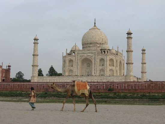 auf der nördlichen Rückseite des Taj Mahals vor dem Fluss Yamuna - am Abend nicht zu lange bleiben! (Ausraubgefahr!)