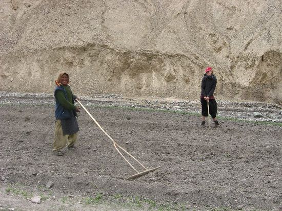 hier übt sich Emma gemeinsam mit Jangchang bei der Gerstenfeldarbeit mit selbstgebauten Holzgeräten