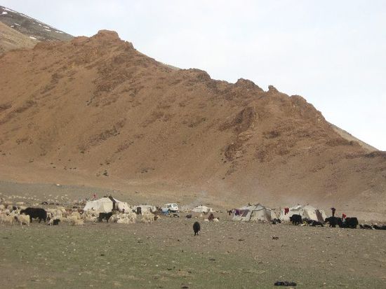 Schafshirtennomaden aus dem Zanskar-Valley