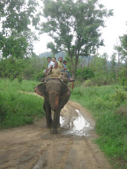 Elefantenreiten, allerdings nicht für mich (hatte ich ja schon in Thailand)