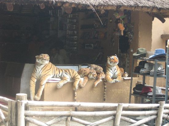 für den echten Tiger hat mein Kamerazoom gar nicht gereicht - naja, hier stellvertretend Plüschtiger am Eingang des Nationalparks