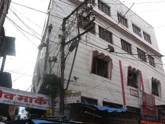 auch in Haridwar gibt es Affen
