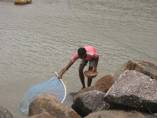 ein Fischer auf den Elephanta-Islands