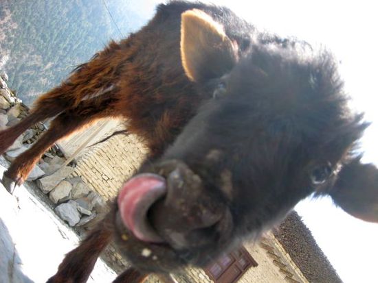 was ist denn so lecker?