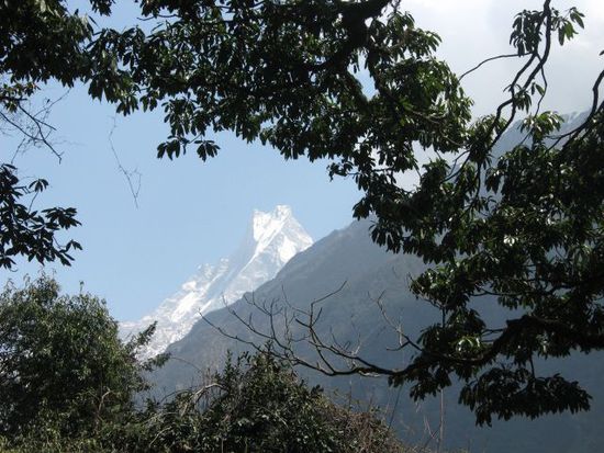 Blick auf Machhapuchhre 6993m (am Weg von Chomlong Richtung ABC)