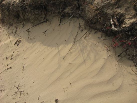 in diesem Tal gibt es viel Sand, der in Kombination mit dem starken Nachmittagswind ganz schoen nervig ist