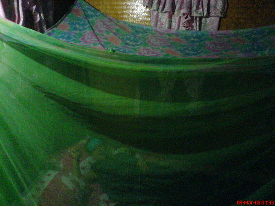 Buh im Karantenezelt.. "Ey, wo hast du das Mueckenzeug hingepackt?!"