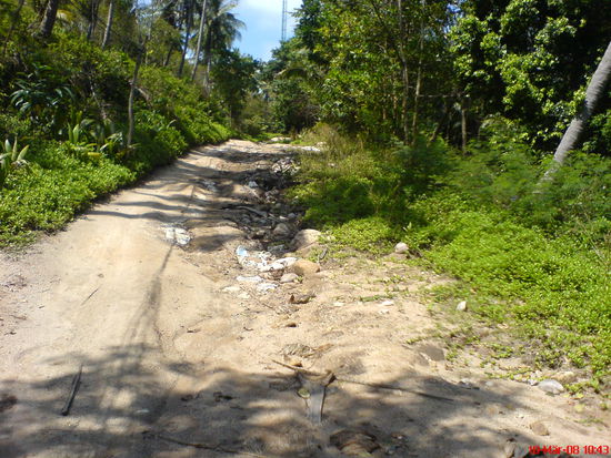 unser Heimweg jeden Tag auf Ko Tao.. sieht auf dem Foto gar nicht so steil aus..